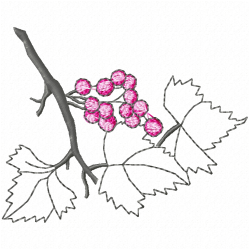 Berries Embroidery Design 6